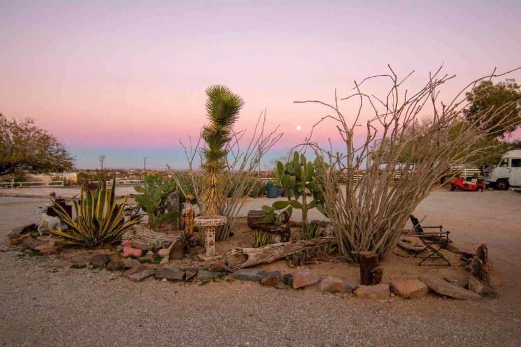 Joshua Tree Ranch House Motel - Downtown - Room #6 Kültér fotó