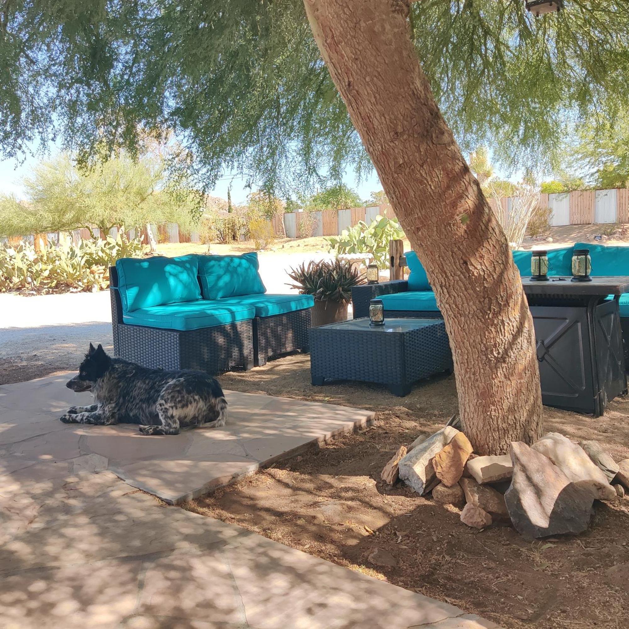 Joshua Tree Ranch House Motel - Downtown - Room #6 Kültér fotó